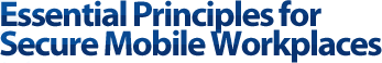 ssential Principles for Secure Mobile Workplaces