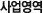 사업영역