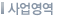 사업영역