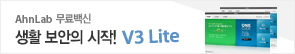 V3 Lite