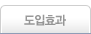 도입효과