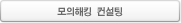 모의해킹  컨설팅