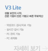V3 Lite