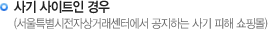 사기 사이트인 경우(서울특별시전자상거래센터에서 공지하는 사기 피해 쇼핑몰)