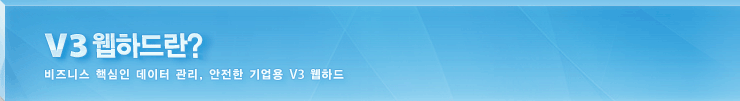 V3 웹하드란?